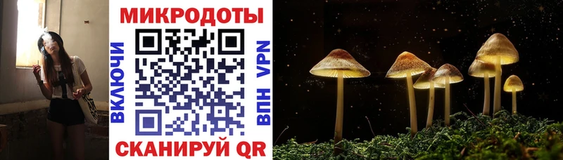 Галлюциногенные грибы Psilocybine cubensis Электроугли